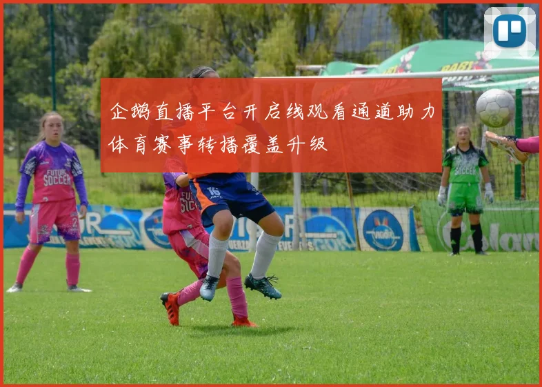 企鹅直播平台开启线观看通道助力体育赛事转播覆盖升级