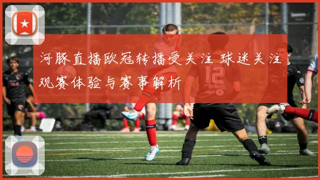 河豚直播欧冠转播受关注 球迷关注观赛体验与赛事解析