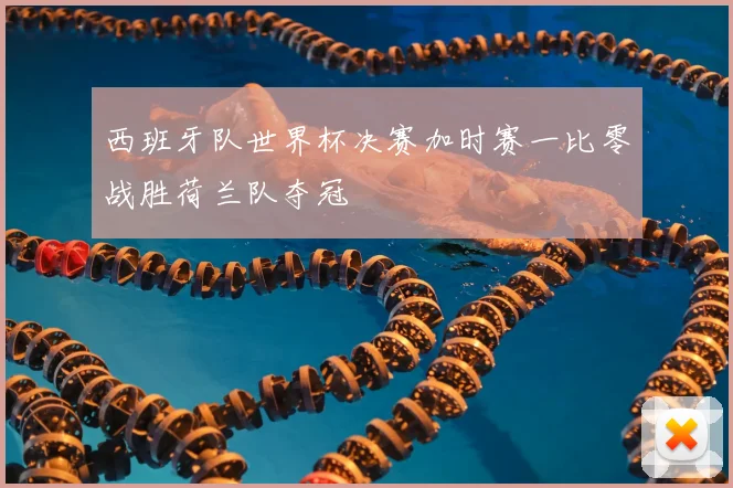 西班牙队世界杯决赛加时赛一比零战胜荷兰队夺冠