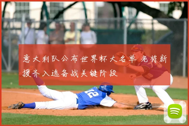 意大利队公布世界杯大名单 老将新援齐入选备战关键阶段