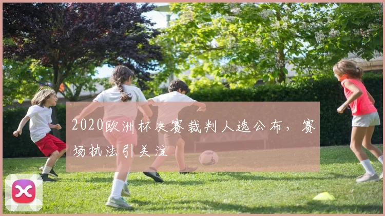 2020欧洲杯决赛裁判人选公布，赛场执法引关注